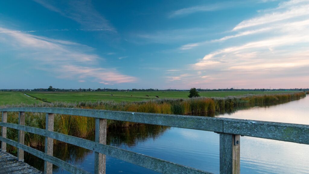 Vergezicht over een polder in de Alblasserwaard